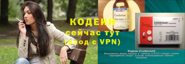 прущие грибы Дмитровск