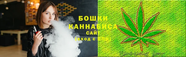 прущие грибы Дмитровск
