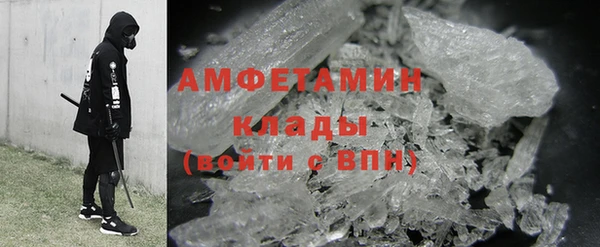 прущие грибы Дмитровск