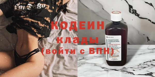прущие грибы Дмитровск