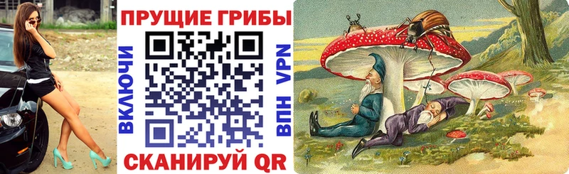 Галлюциногенные грибы мицелий Няндома